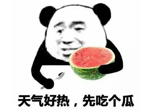 表情吃瓜是啥意思,揭秘网络流行语背后的趣味与内涵